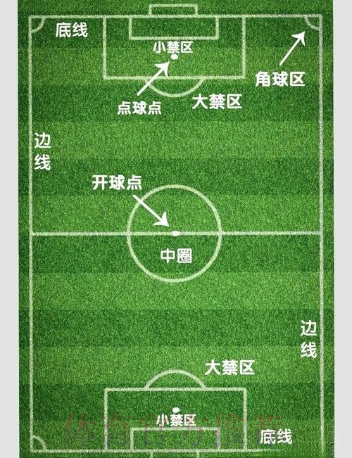 世界杯滚球判断误区大全：避坑指南让投注更稳定